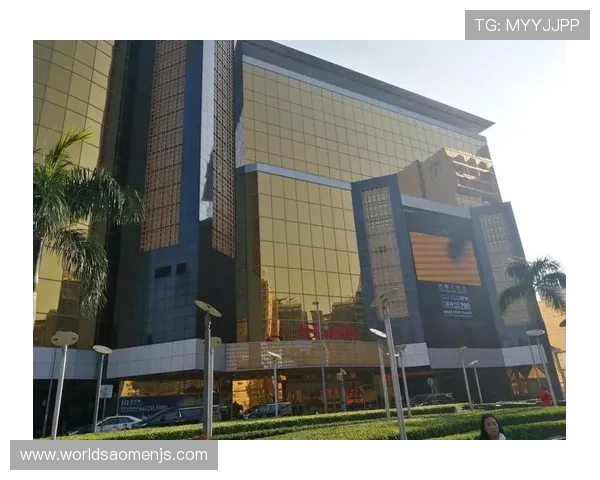 澳门金莎网址官方入口导航，快速访问高信誉度的线上娱乐平台